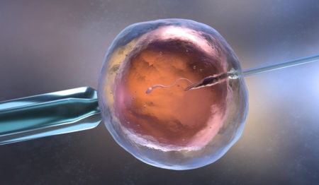 Assisted Procreation & Genetics: Sperm and / or Egg Donation